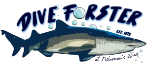 dive forster logo .FINAL 1920w 300x137